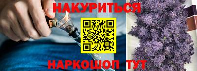 spice Заводоуковск