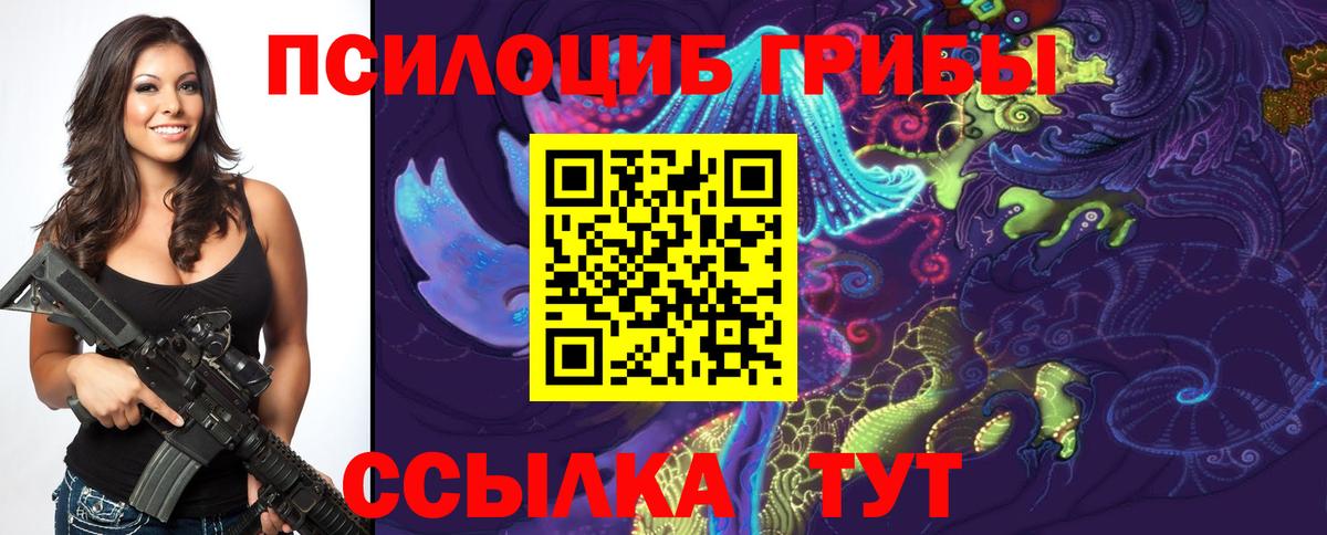 Когалым  Галлюциногенные грибы мицелий  Вход с VPN 