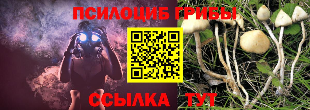 Галлюциногенные грибы Cubensis Когалым
